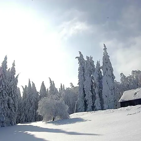 Und Berggasthof Spiessberghaus Am Rennsteig Hotel *